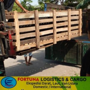 242539804_358961512369701_2735474969768257779_n