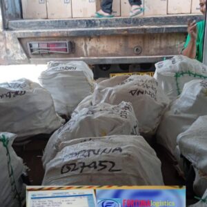 253557865_388214642777721_7859505385515875728_n